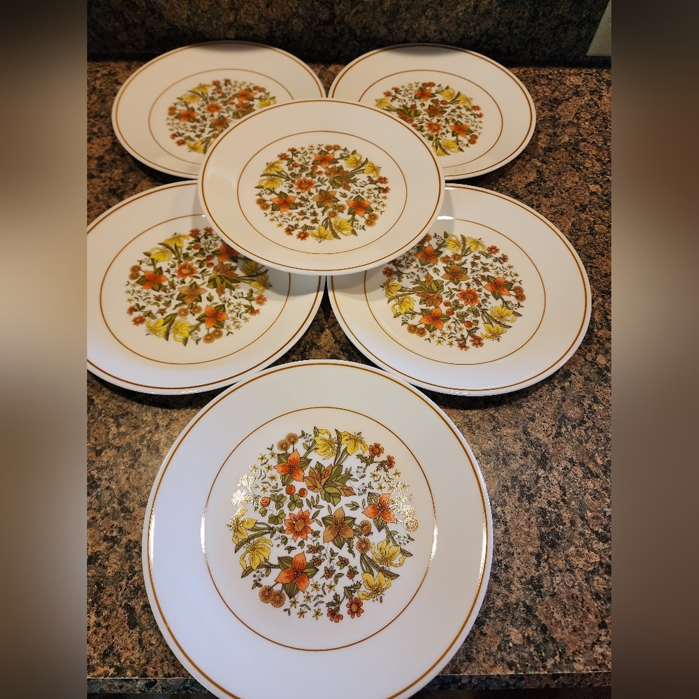 Corelle Indian Summer 10 1/4" Plate, Set of 6